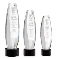 Hoover Award on Marvel Base - Black