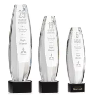 Hoover Award on Paragon Base - Black