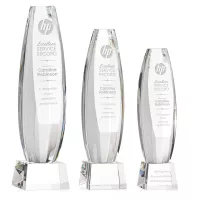 Hoover Award on Robson Base - Clear
