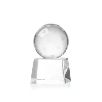 Pickleball Award on Robson Base