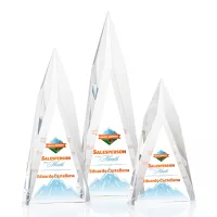 Salisbury VividPrint™ Award