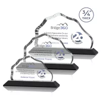 Petersen VividPrint™ Award - Black