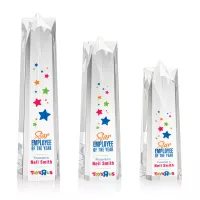 Ellesmere Star VividPrint™ Award