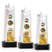 Delaware Star VividPrint™ Award on Base - Black