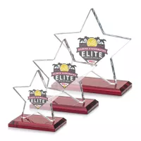 Sudbury Star VividPrint™ Award - Red