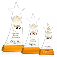 Manolita VividPrint™ Award - Amber