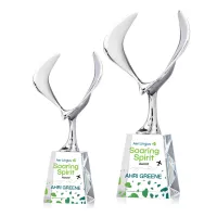 Maverick Eagle VividPrint™ Award on Celestina Base - Clear