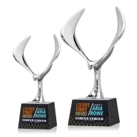 Maverick Eagle VividPrint™ Award on Robson Base - Black