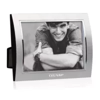 Curvo Frame - Silver/Silver