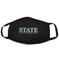 2-Ply Poly-Blend Mask