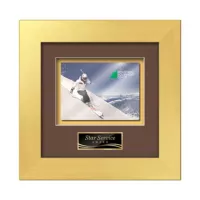Premier - Gold