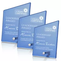 Atchison Blue Slant Award - Silver