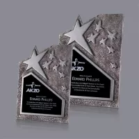 Ruddington Award