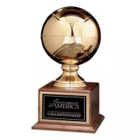 Basketball Award on Walnut