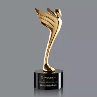 Meteor Award - Gold