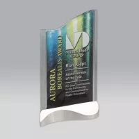 Tidal Award