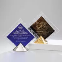 Paragon Award