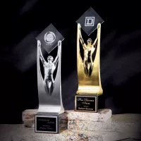 Contour Achievement Award