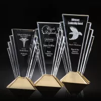 Valiant Award - Gold