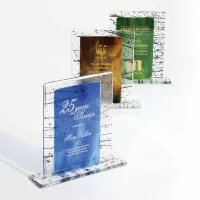 Triumph Fusion Award