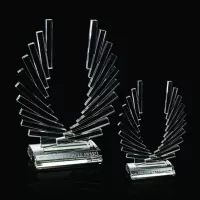 Accolade Award