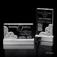 Tribute Award