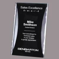 Washington Award - Silver