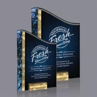 Ventura Award - Gold/Blue