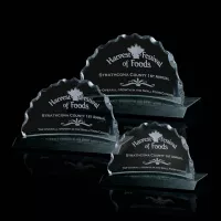 Saratoga Award
