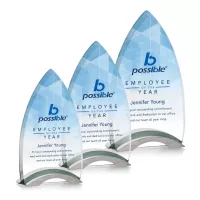Patterson VividPrint™ Award