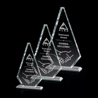 Syracuse Award