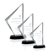 Nevada Award