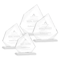 Lexus Award - White