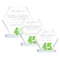 Riviera Anniversary Award No 45 - Green