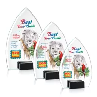 Aylin VividPrint™ Award - Black