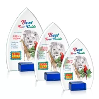 Aylin VividPrint™ Award - Blue