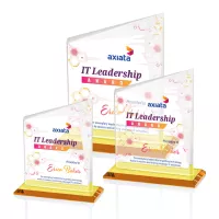 Bellamy VividPrint™ Award - Amber