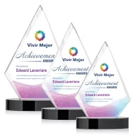 Sarasota VividPrint™ Award - Black