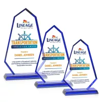 Pearson VividPrint™ Award - Blue