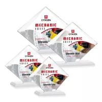 Griffith VividPrint™ Award - White