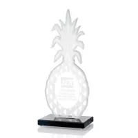Tropicana Pineapple Award