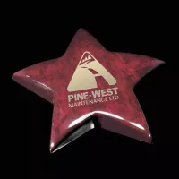 Elgin Star Paperweight