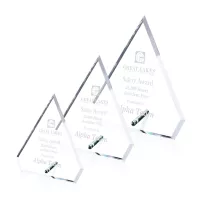 Windsor Diamond Award - Chrome