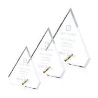 Windsor Diamond Award - Gold