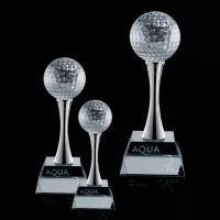 Edson Golf Award
