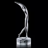 Stoke Golfer Award