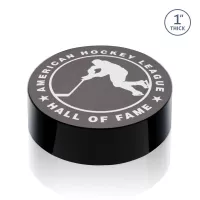 Hockey Puck Award