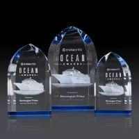 Strobel Award (3D)