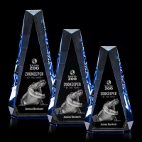 Carmel 3D Award - Blue