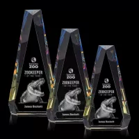 Carmel 3D Award - Prismatic